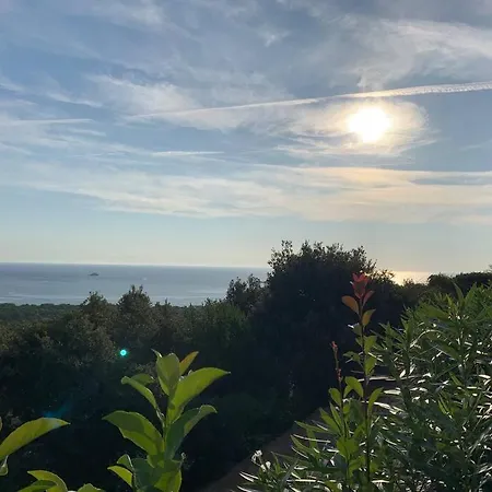 Apartman Dans Piscine Vue Exceptionnelle
